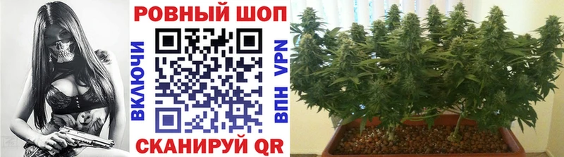 Все наркотики Аркадак МАРИХУАНА Alpha PVP ГАШИШ Мефедрон