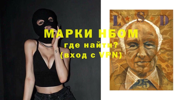 гашик Пересвет