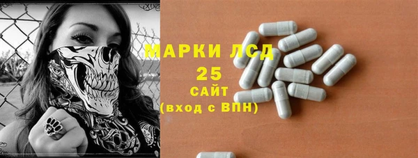 хмурый Гатчина