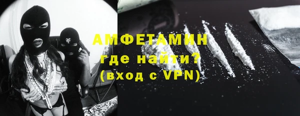 гашик Пересвет
