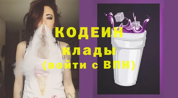 гашик Пересвет