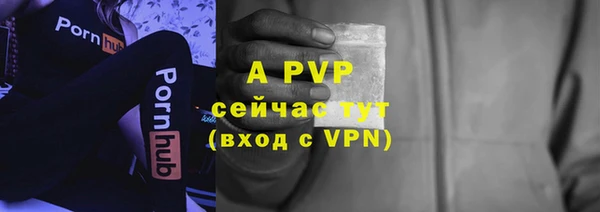 стафф Гвардейск