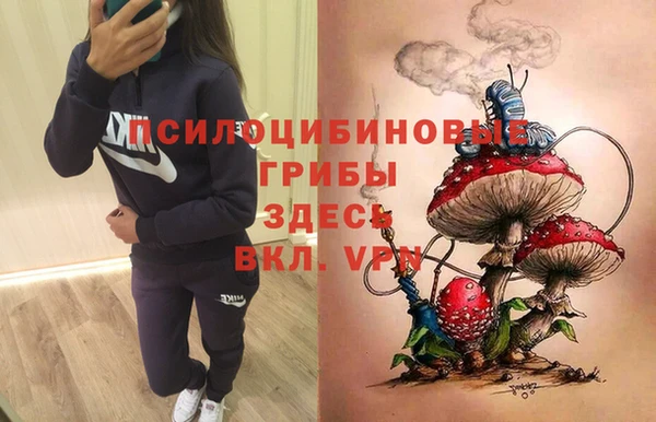 трава Переславль-Залесский