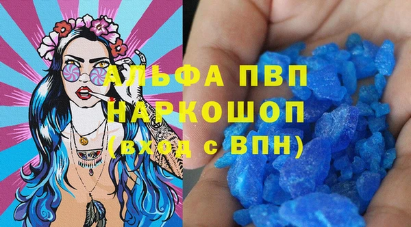 гашик Пересвет