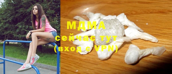 гашик Пересвет