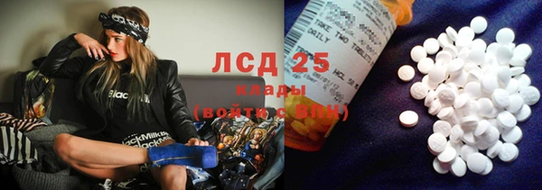 гашик Пересвет