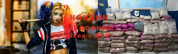 гашик Пересвет